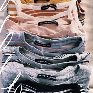 Meet your Posher, Holly